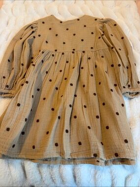 Zara Tan Dress with Brown Polka Dots